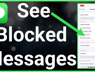 How To Access Blocked Messages on WhatsApp (iPhone) In 2023